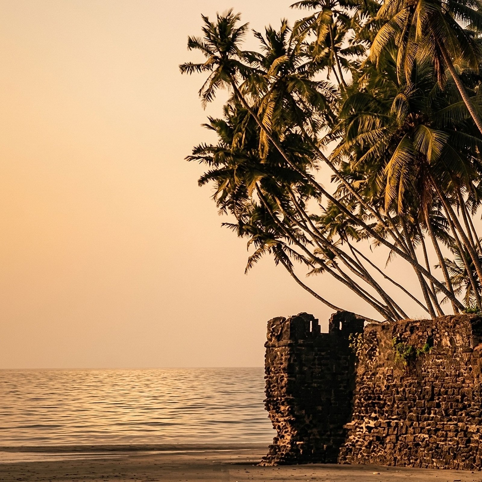 Alibaug coastline — palm grove and Kolaba Fort at low tide